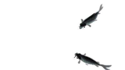 水墨 鲤鱼 游动 艺术