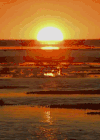 夕阳 河流 漂亮