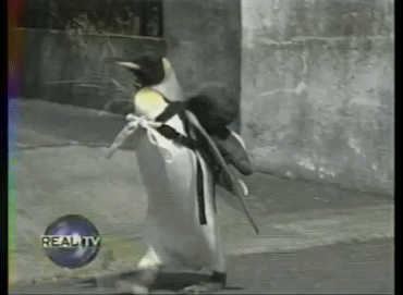 企鹅 penguin 背包 奔跑