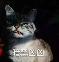 暗黑凶凶 猫咪 尖牙 猫凶凶 可怕