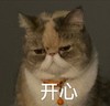 萌宠 猫星人 开心 我很高兴 呆萌 可爱