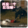 喜欢你 周冬雨 金城武 搞笑 斗图 求你了 发红包