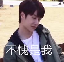 不愧是我 王一博 文字表情包 搞笑 小哥哥