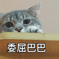 委屈巴巴 猫 伤心