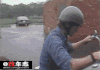 汪星人 上车 准备好 帅气 墨镜 动物 萌宠