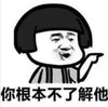 暴漫 文字表情包 你根本不了解他 搞笑 沙雕 魔性