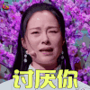 喜剧总动员2 江一燕 讨厌你 伤心 soogif soogif出品