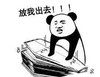 熊猫头 文字表情包 放我出去 搞怪 沙雕 逗趣
