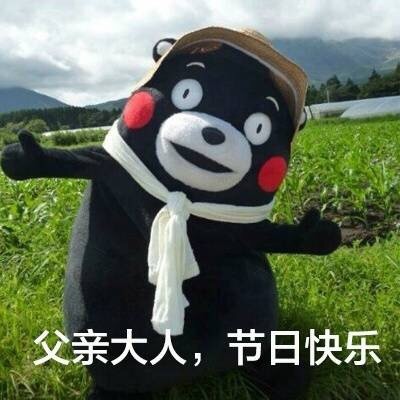 熊本熊  可爱  祝福  斗图  父亲大人节日快乐