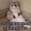 萌宠 猫咪 猫 喵星人 喝酒 寂寞 伤心