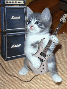 喵星人 猫 宠物 可爱 萌 弹吉他