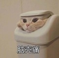 猫咪 脑壳痛 搞笑 垃圾桶 斗图