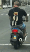 搞笑 厉害了 笑死人 哈哈哈