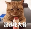萌宠 喵星人 没钱吃大餐 穷 搞怪 逗