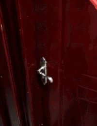 无语 开门 狗狗 欢乐