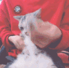 猫咪 喵星人 搞笑 懵逼 做运动