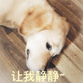 让我静静 狗 伤心