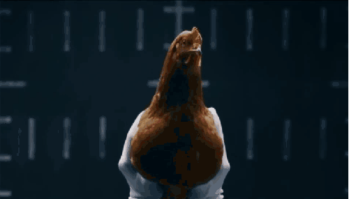 创意 动物 广告 搞笑 鸡 梅赛德斯奔驰