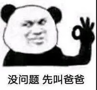 暴漫 熊猫头 没问题 先叫爸爸 搞怪 逗