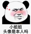 暴漫 文字表情包 小姐姐头像是本人吗 搞笑 沙雕 魔性