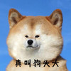 萌宠 汪星人 真叫狗头大 搞怪 呆萌 逗