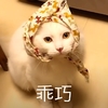 萌宠 喵星人 乖巧 听话坐着 呆萌 可爱