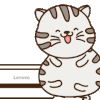 猫咪 胖嘟嘟 呆萌 开心
