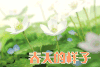 春天的样子