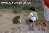 萝莉 猴子 欺负人 萌萌哒