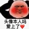 熊猫头 文字表情包 头像本人吗爱上了 搞笑 逗 沙雕