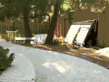 狗狗 跳跃 可爱 大树