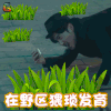 北京女子图鉴 王泷正 黄越彬 在野区猥琐发育 王者荣耀 soogif soogif出品