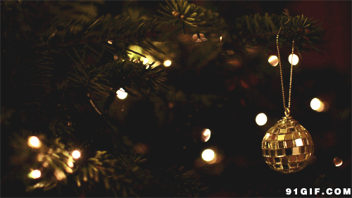 圣诞树 闪动 美妙的 圣诞快乐