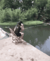 搞笑 搞怪 逗乐 钓鱼