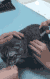无不无聊 搞笑 gif 打针
