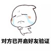 不想理你 伤心 流泪 对方已开启好友验证