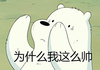 咱们裸熊 呆萌 自恋 为什么我这么帅