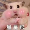 仓鼠 萌宠 脸红 星星眼