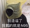 萌宠 喵星人 别造谣了 我戴的就是N95 可爱 憨憨