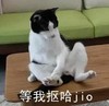 萌宠 汪星人 等我扣哈脚 摸脚 搞怪 逗