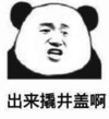 斗图 暴漫表情 熊猫人 出来撬井盖啊