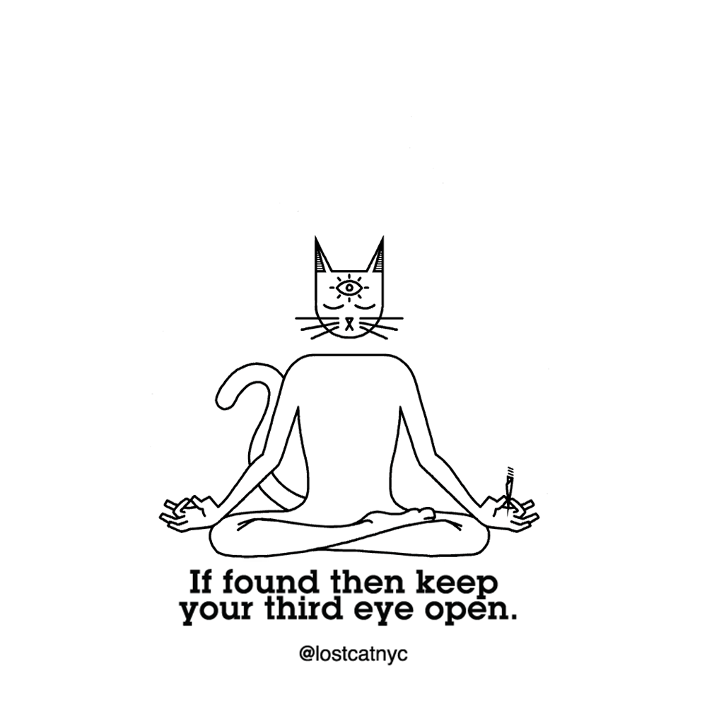 瑜伽 yoga 猫 卡通