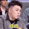 青春有你 艾福杰尼 哇哦 赞 soogif 来自soogif