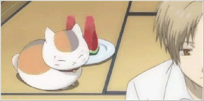 开心 猫咪 吃西瓜 可爱