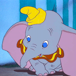 大象 长鼻子 可爱