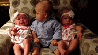 萌娃  婴儿  双胞胎 左看看 又看看