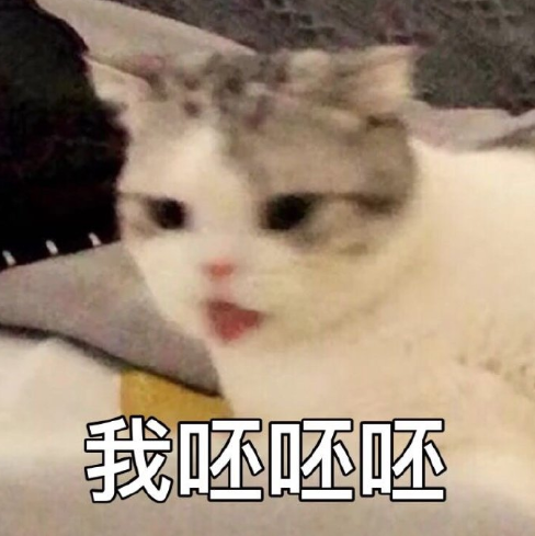 喵星人 可爱 蠢萌 文字表情包 沙雕