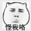 怪我咯 猥琐猫 哼 金馆长