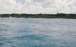 Around&the&world Punta&Cana&in&4K 多米尼加共和国 海洋 海浪 游艇 纪录片 蓬塔卡纳 风景