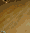 大法 gif